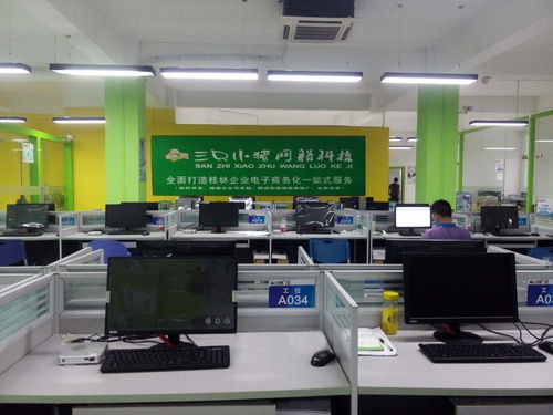 桂林三只小豬網(wǎng)絡(luò)科技 打造創(chuàng)新網(wǎng)絡(luò)技術(shù)開(kāi)發(fā)解決方案